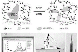 基于新型印跡識別的甲硝唑電化學(xué)傳感器及制備方法與應(yīng)用