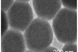 基于錳基金屬鹵化物的光電化學生物傳感器、制備方法及其應用