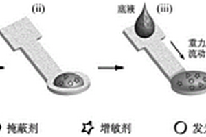 紙芯片重力/毛細流動化學發(fā)光方法