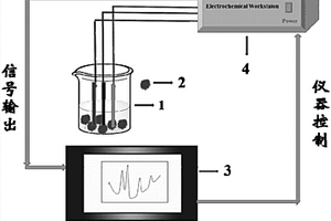 血清中生物小分子電化學傳感器及其制備方法與應用