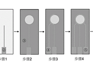 集成式光電化學(xué)傳感電極及其應(yīng)用