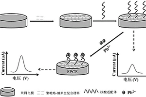 基于核酸適配體的鉛離子電化學(xué)傳感器的制備方法