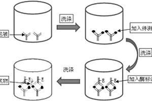 用于子宮肉瘤早中期快速診斷化學發(fā)光試劑盒