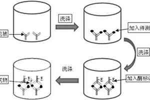 用于肺癌早中期快速診斷化學發(fā)光試劑盒