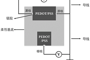 有機(jī)柵極電化學(xué)晶體管生物傳感器的構(gòu)筑