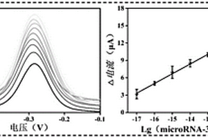 基于Ti3C2-Au的microRNA電化學(xué)生物傳感器及其制備方法和應(yīng)用