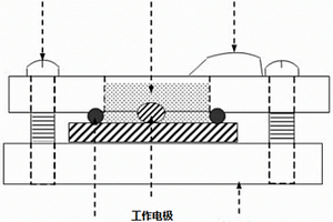 基于單分子電學(xué)檢測的pH測量方法