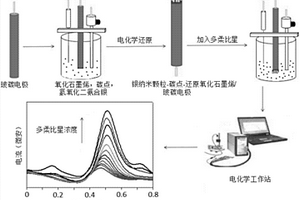 樹(shù)枝狀納米復(fù)合物多柔比星電化學(xué)傳感器的制備方法