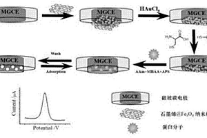 一步沉積法修飾磁電極的蛋白質(zhì)電化學(xué)印跡傳感器的制備方法