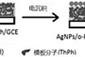 基于電化學(xué)沉積與分子印跡的表面增強(qiáng)拉曼光譜傳感器及其制備方法