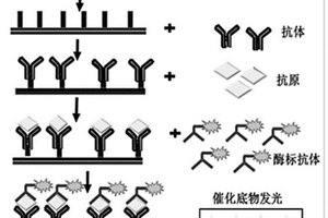 利用聚多巴胺生物檢測(cè)表面進(jìn)行抗原檢測(cè)的方法及應(yīng)用