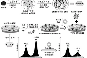 金屬離子摻雜硼納米片復(fù)合物用作外泌體比率電化學(xué)適體傳感器的制備方法