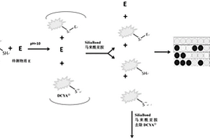 基于熒光化學(xué)反應(yīng)系統(tǒng)體外高通量篩查皮膚致敏原的方法