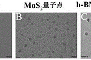 可實(shí)現(xiàn)靶向光熱和化學(xué)協(xié)同治療的h-BN/MoS2納米探針及其制備方法和應(yīng)用