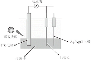 基于亞甲基藍(lán)可控釋放的免固定免標(biāo)記光致電化學(xué)microRNA傳感器及其應(yīng)用