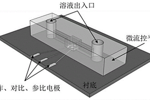 微流控超聲電化學(xué)片上實驗室分析平臺