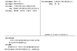 用于DNA檢測的納米金信號探針及其制備方法和DNA檢測的方法