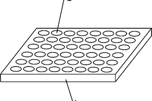 可用于電化學(xué)發(fā)光分析的微孔板
