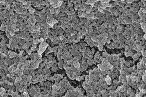 氯霉素的特異性分子印跡聚合物、化學發(fā)光試劑盒、檢測方法及應用