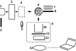 光致化學發(fā)光分析儀器