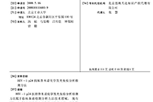 HIV-1 P24抗原魯米諾化學(xué)發(fā)光免疫分析檢測(cè)方法