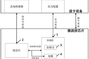 電化學(xué)發(fā)光免疫分析系統(tǒng)及方法