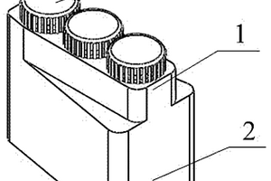 用于全自動(dòng)化學(xué)發(fā)光免疫分析儀的試劑盒