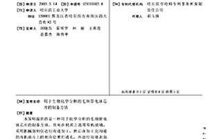 用于生物化學(xué)分析的毛細(xì)管電泳芯片的制備方法