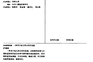 用于電化學分析的電極