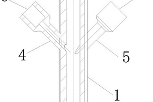 用于全自動(dòng)化學(xué)發(fā)光免疫分析儀的洗針器