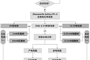 基于雙向電子傳遞電化學(xué)活性微生物同步檢測(cè)水體中生化需氧量和硝態(tài)氮含量的方法