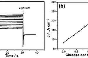 基于Fe<Sub>2</Sub>O<Sub>3</Sub>電極的無酶葡萄糖光電化學(xué)傳感器及其制備方法與檢測方法