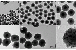 基于超順磁Fe<Sub>3</Sub>O<Sub>4</Sub>@void@TiO<Sub>2</Sub>原位構(gòu)建銀離子的光電化學(xué)檢測方法