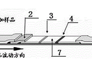 檢測(cè)恩諾沙星殘留的時(shí)間分辨熒光免疫分析試紙的制備方法