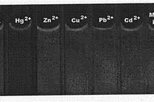 基于熒光顏色變化檢測水介質中痕量汞的分析方法