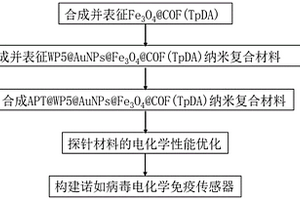 GⅡ.4諾如病毒的檢測材料、合成方法、檢測方法