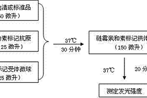 甲狀腺過氧化物酶抗體均相發(fā)光免疫分析試劑盒及其檢測方法