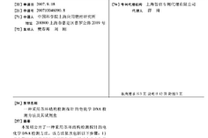 采用莖環(huán)結構檢測探針的電化學DNA檢測方法及其試劑盒