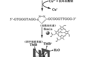 基于點(diǎn)擊化學(xué)和G四聚體的銅離子檢測試劑盒以及檢測方法