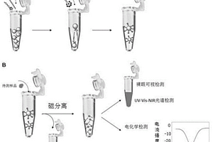 基于中空金納米粒-DNA復(fù)合物的生物/化學(xué)檢測試劑和檢測方法