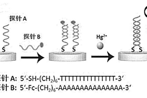 用于汞離子檢測的電化學(xué)傳感器及其制作方法和檢測方法