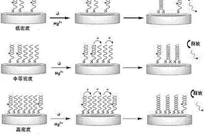 用于汞離子檢測的電化學(xué)傳感器及制作方法和檢測方法