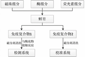 化學發(fā)光檢測法的檢測校準系統(tǒng)建立方法、檢測校準方法