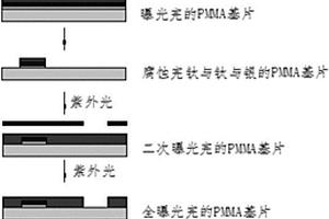 基于集成三電極體系微芯片的電化學(xué)與電化學(xué)發(fā)光檢測方法