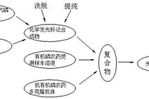 化學(xué)發(fā)光化學(xué)傳感器的制作及用于有機(jī)磷類農(nóng)藥的檢測(cè)