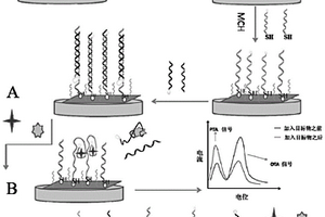 同時(shí)檢測(cè)PAT和OTA的電化學(xué)傳感器、制備及檢測(cè)方法