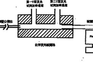 毛細管電泳-化學發(fā)光法檢測非衍生氨基酸的方法及其檢測裝置