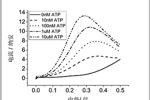 用于快速檢測(cè)非穩(wěn)定物質(zhì)的電化學(xué)傳感器及利用其快速定量檢測(cè)ATP的方法