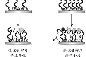 檢測H1N1流感病毒的電化學(xué)傳感器及其制備和檢測方法