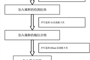 人前蛋白轉(zhuǎn)化酶枯草溶菌素9化學(xué)發(fā)光檢測試劑和檢測試劑盒與應(yīng)用